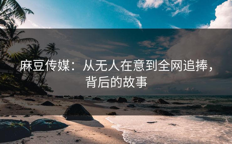 麻豆传媒:从无人在意到全网追捧,背后的故事